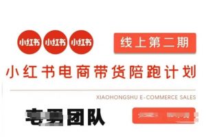 小红书电商带货课2期,月利润20个的小红书电商的有货源,无货源,虚拟产品,付费投流等整套玩法-财虎网络科技