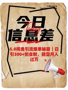 5.0闲鱼引流爆单秘籍，日引300+创业粉，稳定月入过W-财虎网络科技