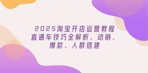 2025淘宝开店运营教程更新，直通车技巧全解析，动销、爆款、人群搭建-财虎网络科技