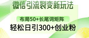 微信引流裂变新玩法：布局50+长尾词矩阵，轻松日引300+创业粉-财虎网络科技