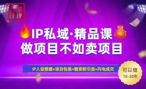 2025年“IP私域·密训精品课”，日赚3000+小白避坑年赚百万，暴力引流...-财虎网络科技