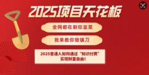 2025项目天花板普通人如何通过知识付费，实现财F自由【揭秘】-财虎网络科技