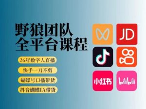 野狼团队2026新版全平台短视频带货教学,打开流量突破口,开始Ai带货(更新26年3月)-财虎网络科技