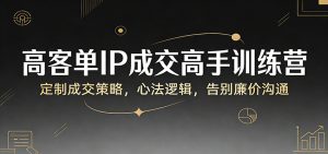 高客单IP成交高手训练营：定制成交策略，心法逻辑，告别廉价沟通-财虎网络科技