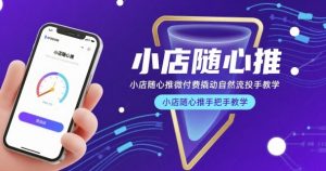 小店随心推微付费撬动自然流投手教学，小店随心推手把手教学(更新26年)-财虎网络科技