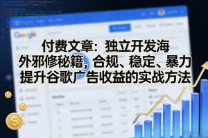 付费文章：独立开发海外邪修秘籍，合规、稳定、暴力提升谷歌广告收益的实战方法-财虎网络科技