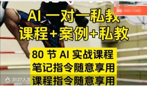 AI指令实战课，课程+案例，80节AI实战课程，笔记指令随意享用，课程指令随意享用(更新26年3月)-财虎网络科技