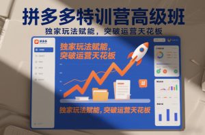 拼多多特训营高阶班，独家玩法赋能，突破运营天花板(更新26年3月13日)-财虎网络科技