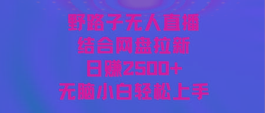 无人直播野路子结合网盘拉新，日赚2500+多平台变现，小白无脑轻松上手操作-财虎网络科技