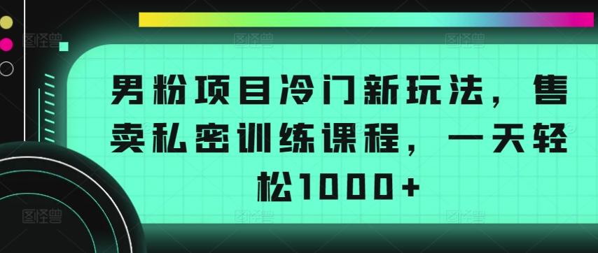 男粉项目冷门新玩法，售卖私密训练课程，一天轻松1000+【揭秘】-财虎网络科技
