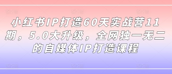 小红书IP打造60天实战营11期，5.0大升级，全网独一无二的自媒体IP打造课程-财虎网络科技