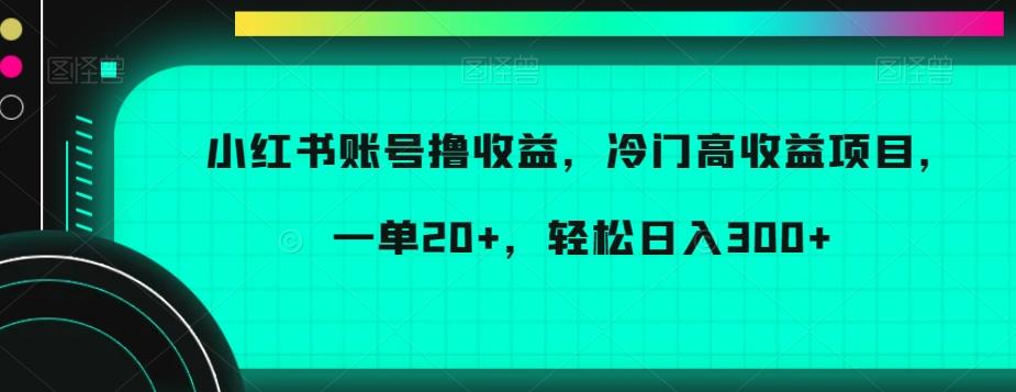 小红书账号撸收益，冷门高收益项目，一单20+，轻松日入300+【揭秘】-财虎网络科技