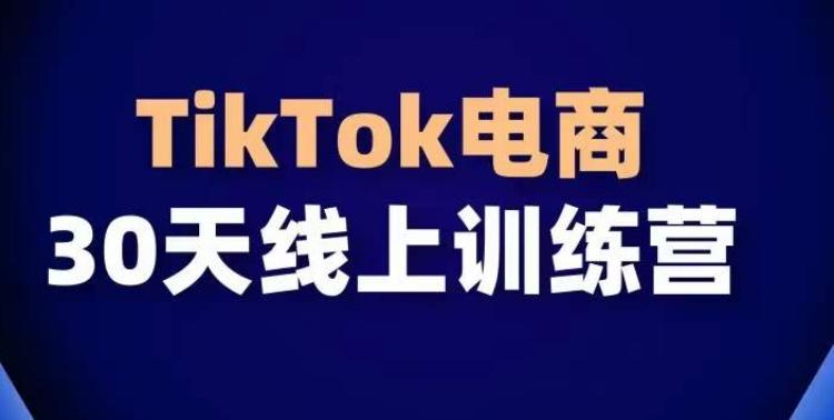 TikTok电商带货30天线上课，不可错过的全球流量洼地！-财虎网络科技