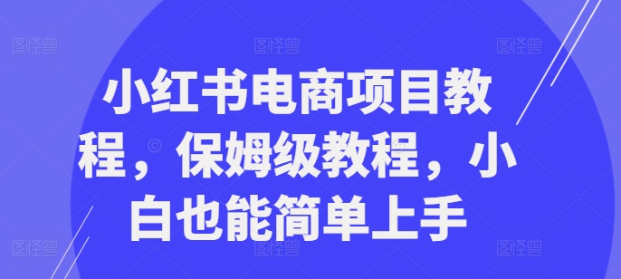 小红书电商项目教程，保姆级教程，小白也能简单上手-财虎网络科技