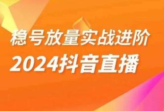 稳号放量实战进阶—2024抖音直播，直播间精细化运营的几大步骤-财虎网络科技