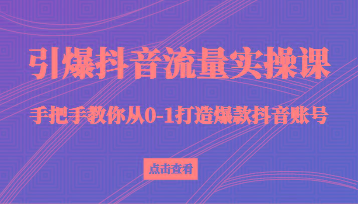 引爆抖音流量实操课，手把手教你从0-1打造爆款抖音账号(27节课)-财虎网络科技
