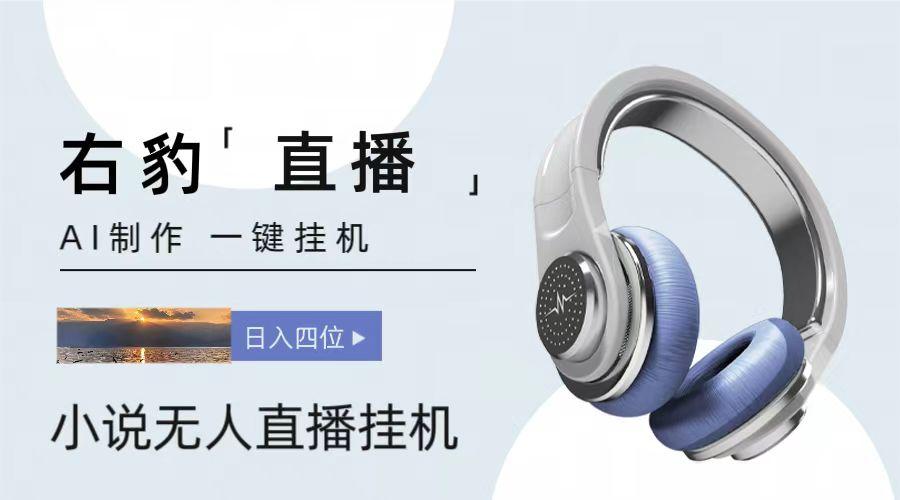 右豹小说无人直播挂机吸金项目，简单易行收益稳定， 月入1000+-财虎网络科技