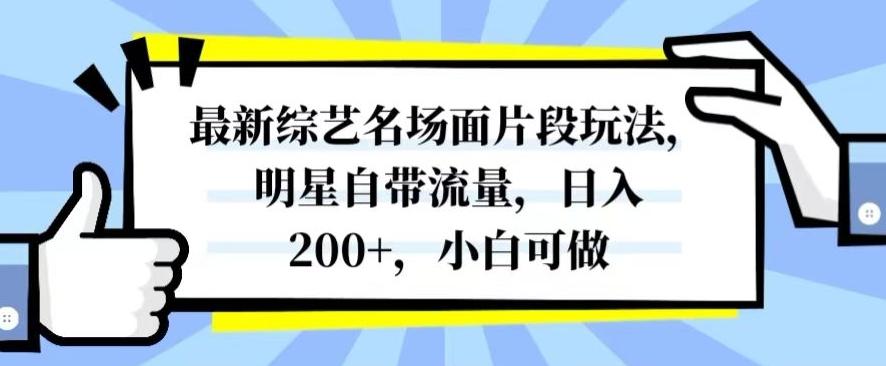 最新综艺名场面片段玩法,明星自带流量,日入200+,小白可做【揭秘】-财虎网络科技