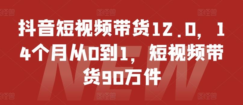 抖音短视频带货12.0，14个月从0到1，短视频带货90万件-财虎网络科技