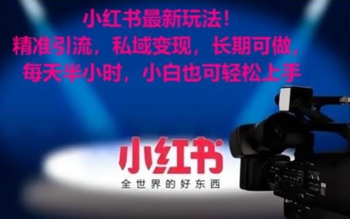 小红书最新玩法！精准引流，私域变现，长期可做，每天半小时，小白也可轻松上手【揭秘】-财虎网络科技