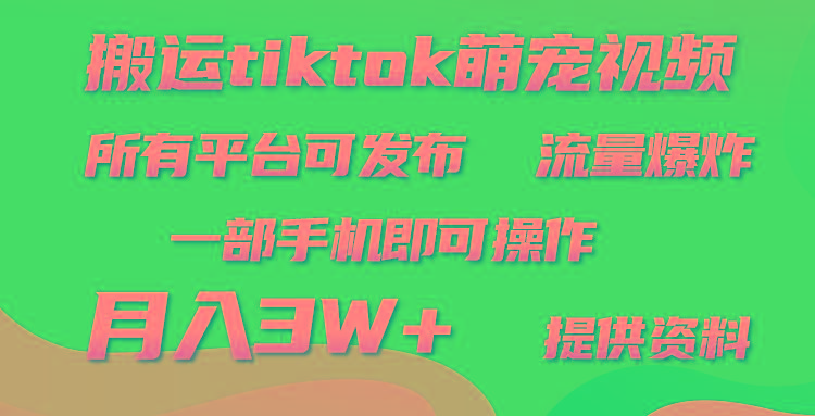 (9618期)搬运Tiktok萌宠类视频，一部手机即可。所有短视频平台均可操作，月入3W+-财虎网络科技