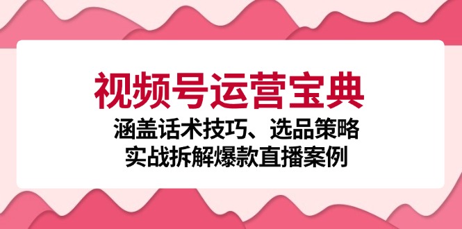 视频号运营宝典：涵盖话术技巧、选品策略、实战拆解爆款直播案例-财虎网络科技