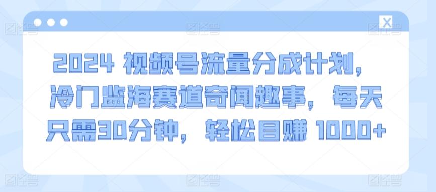 2024视频号流量分成计划，冷门监海赛道奇闻趣事，每天只需30分钟，轻松目赚 1000+【揭秘】-财虎网络科技