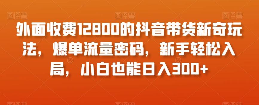 外面收费12800的抖音带货新奇玩法，爆单流量密码，新手轻松入局，小白也能日入300+【揭秘】-财虎网络科技