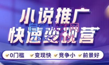 洲洲老师·小说推广快速变现营-财虎网络科技