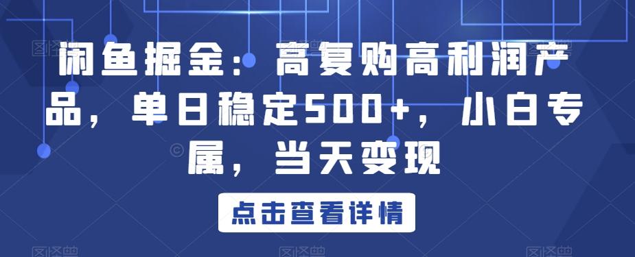 闲鱼掘金：高复购高利润产品，单日稳定500+，小白专属，当天变现-财虎网络科技