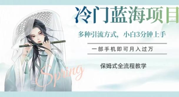 冷门蓝海项目，操作简单，小白3分钟上手，多种引流方式，保姆式全流程教学【揭秘】-财虎网络科技