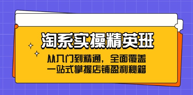 淘系实操精英班：从入门到精通，全面覆盖，一站式掌握店铺盈利秘籍-财虎网络科技