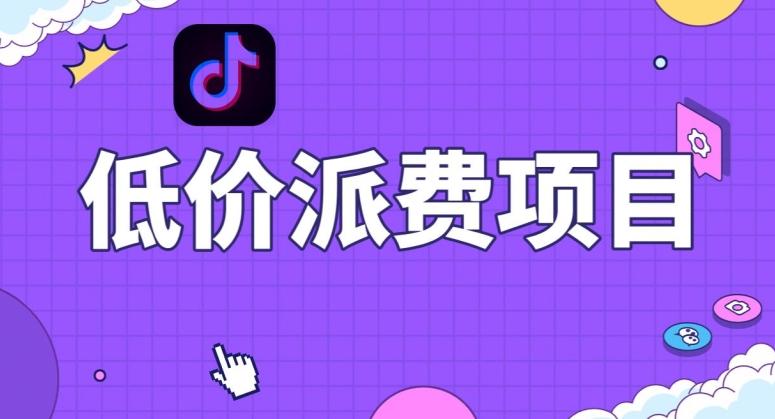 抖音低价派单项目，0门槛，日入1000+很轻松，小白可操作【揭秘】-财虎网络科技