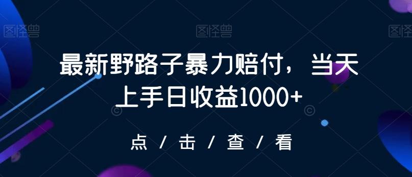 最新野路子暴力赔付，当天上手日收益1000+【仅揭秘】-财虎网络科技