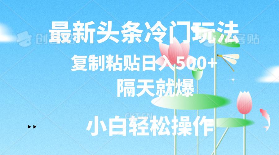 最新头条冷门玩法，隔天就爆，复制粘贴日入500+-财虎网络科技