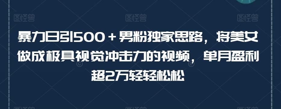 暴力日引500＋男粉独家思路，将美女做成极具视觉冲击力的视频，单月盈利超2万轻轻松松-财虎网络科技