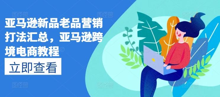 亚马逊新品老品营销打法汇总，亚马逊跨境电商教程-财虎网络科技