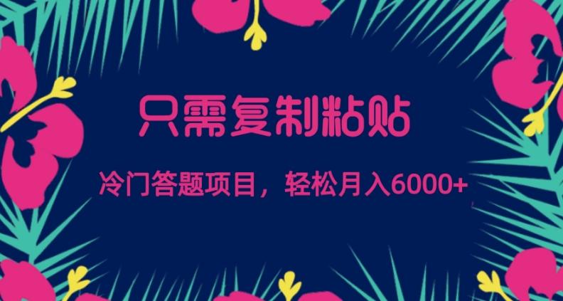 只需复制粘贴，冷门答题项目，轻松月入6000-财虎网络科技