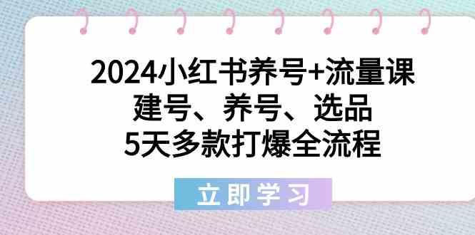 2024小红书养号+流量课:建号、养号、选品,5天多款打爆全流程-财虎网络科技