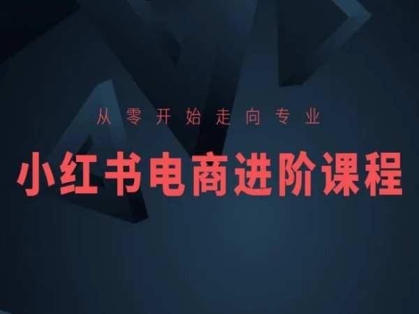 从零开始走向专业，小红书电商进阶课程-财虎网络科技