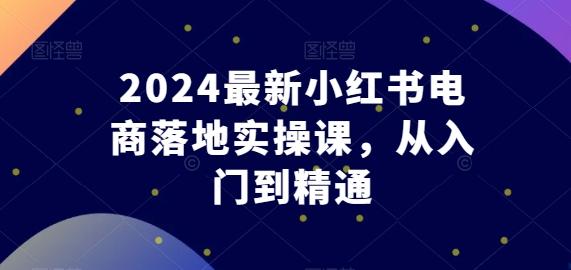 2024最新小红书电商落地实操课,从入门到精通-财虎网络科技