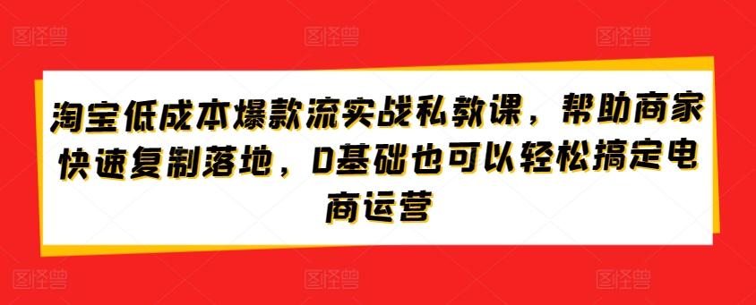 淘宝低成本爆款流实战私教课，帮助商家快速复制落地，0基础也可以轻松搞定电商运营-财虎网络科技