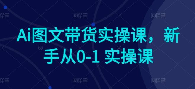 Ai图文带货实操课，新手从0-1 实操课-财虎网络科技