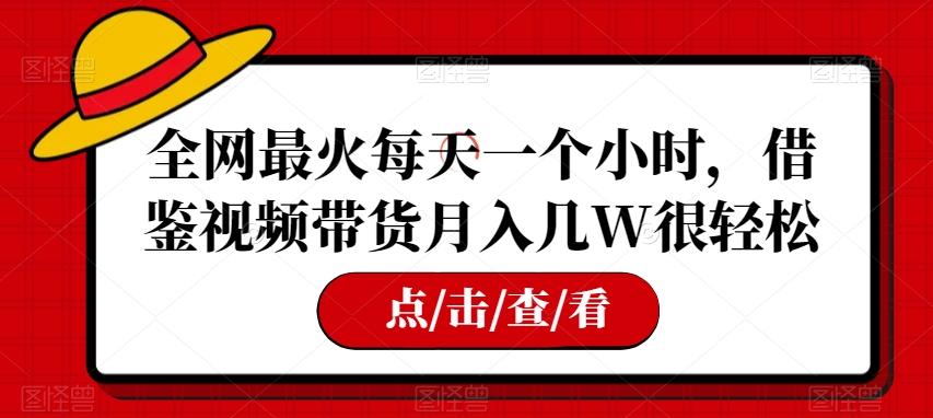 全网最火每天一个小时，借鉴视频带货月入几W很轻松【揭秘】-财虎网络科技