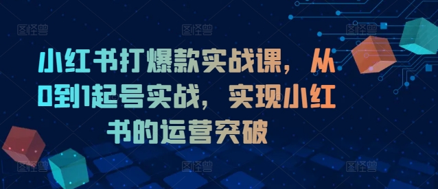 小红书打爆款实战课,从0到1起号实战,实现小红书的运营突破-财虎网络科技