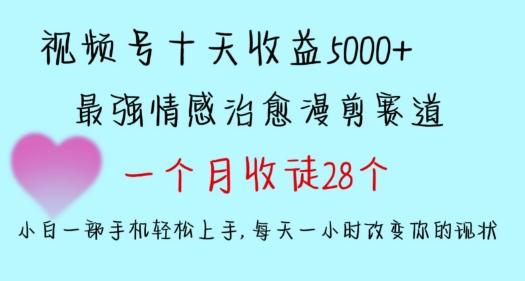 十天收益5000+，多平台捞金，视频号情感治愈漫剪，一个月收徒28个，小白一部手机轻松上手【揭秘】-财虎网络科技