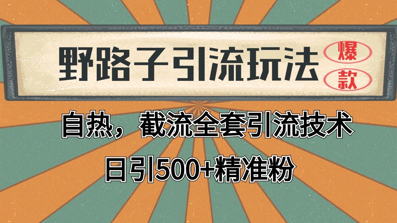 抖音小红书视频号全平台引流打法，全自动引流日引2000+精准客户-财虎网络科技