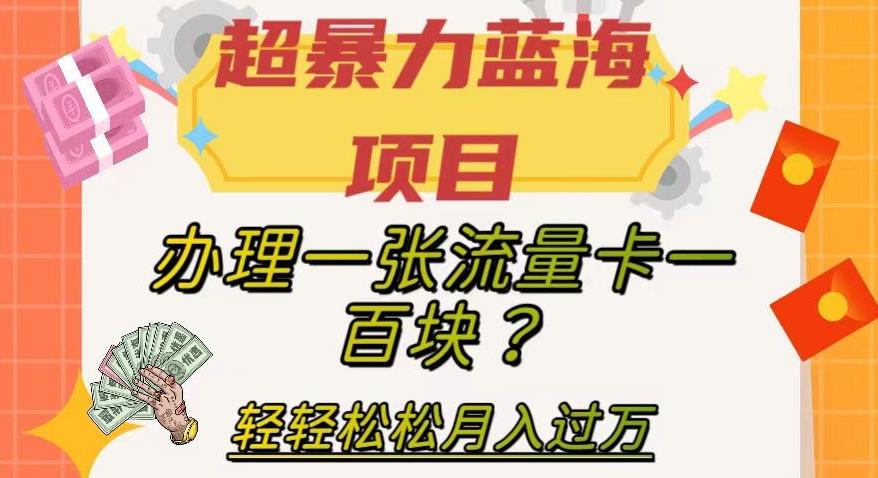超暴力蓝海项目，办理一张流量卡一百块？轻轻松松月入过万，保姆级教程【揭秘】-财虎网络科技