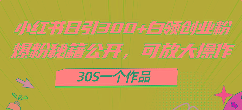 小红书日引300+高质白领创业粉,可放大操作,爆粉秘籍!30s一个作品-财虎网络科技