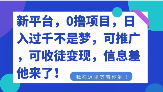 不要再花冤枉钱了，0撸项目，每天坚持，稳定1000+-财虎网络科技